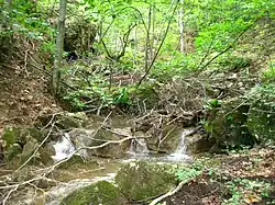 River Cetina, Middle Povlen
