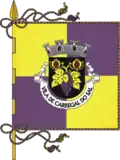 Flag of Carregal do Sal