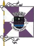 Flag of Gouveia