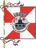 Flag of City of Montemor-o-Novo