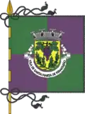 Flag of Santa Marta de Penaguião