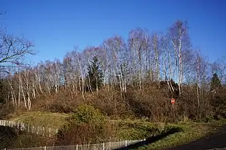 Another view of the slag heap.