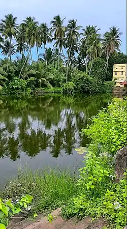 Temple pond in Puthur, Palakkad