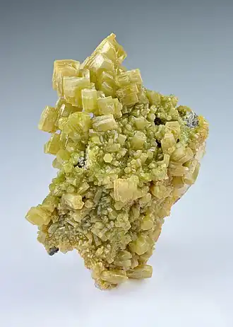 Image 73Pyromorphite, by Iifar (from Wikipedia:Featured pictures/Sciences/Geology)