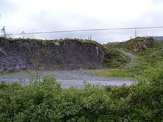 Quarry beside R548 - Garrynapeaka Townland - geograph.org.uk - 2446729.jpg