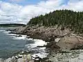 Like much of Maine, the coast at Quoddy Head is rocky