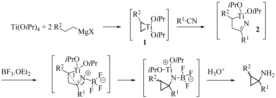 Szymoniak variation reaction mechanism