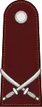 Police senior sergeant major