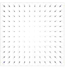 Dense vector field representation.