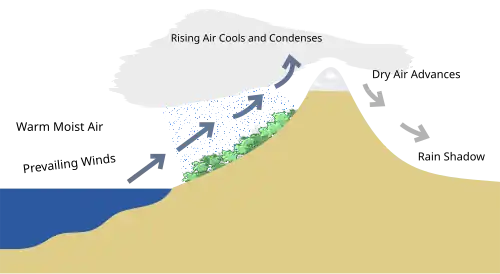 Simplified example of the rain shadow effect