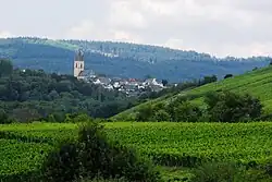 From Walluftalbrücke of B 42 across vineyards, surrounded by Taunus mountains