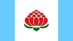 Second flag proposal in 1996 by Flags for Australia