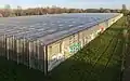 Greenhouses in Ressen
