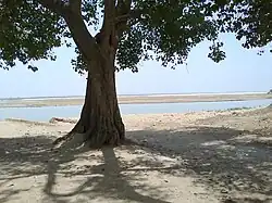 River Ganges at Bhojpur