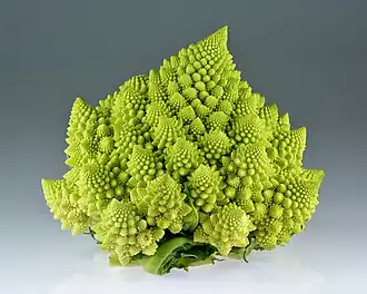 Romanesco broccoli, showing self-similar form approximating a natural fractal