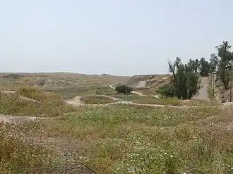 Photograph. Refer to caption