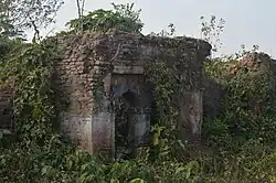 Ruined palace at Ambikanagar