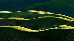 Steppe of Tekes County