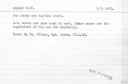 "These women are the equivalent of the men for brutality."