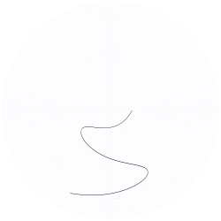 An orbit of the swinging Atwood's machine for , , and zero initial velocity.