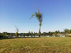 View on Samaila Aqua Dreams fishing lake, August 2019