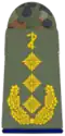 Generaloberstabsarzt (Army Dental Officer with the rank of Lieutenant General)