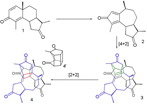 Santonin Photochemical reaction