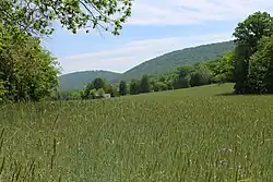 Field and mountain in Upper Paxton Township