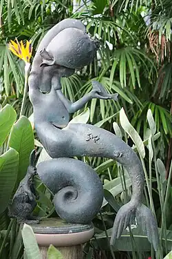 Looking and Listening for the Sea (1992), Wellington