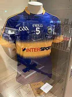 Shirt worn by Séamus Kennedy in the 2016 All-Ireland Senior Hurling Championship Final