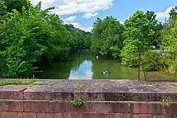 creek with kayakers