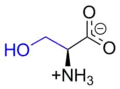 Serine at physiological pH