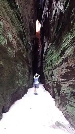 [clarification needed]