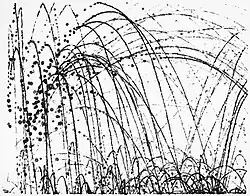 Shannon, Barrage, 1986