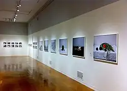 installation view.