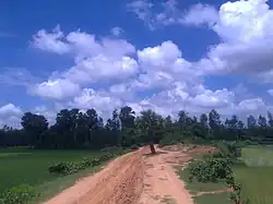 Village road in Autumn Season in Sherpur