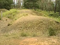 Shimokomatsu Kofun Cluster