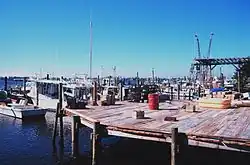 Shrimp, snapper, grouper, and stone crab fishing boats at Cortez