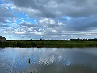 Shrimp farm behind Romy's in Kahuku