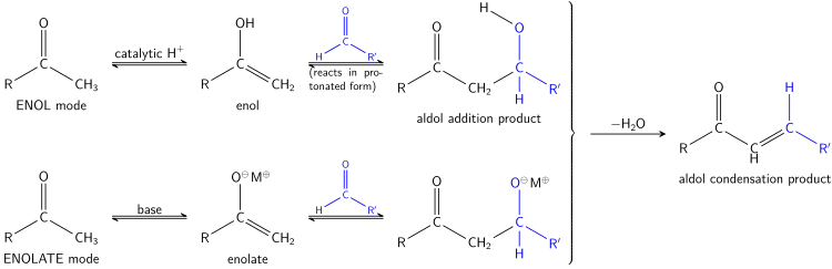 The Aldol reaction