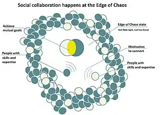 Social collaboration happens at the edge of chaos