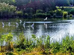 Pussy's Pond Park Town Pond at Amagansett trail Springs, Long Island,