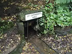 An image of St Cuthbert's Well.