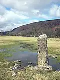 Stone pillar, Littondale near Hawkswick Bridge.