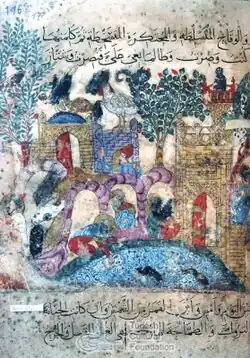 Suleymaniye Library, Esad Efendi 2916