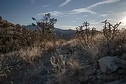 Looking south from Cerrillos Hills State Park towards the Ortiz Mountains