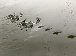 Super Frelon transport helicopters, like the ones used in Operation Gift