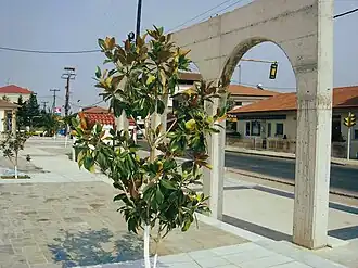 A square in Svoronos