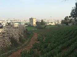 Cultivated land with a folly