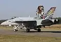 F/A-18C J-5011 Tigers FlSt11